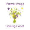Wholesale Flower Supplier - National Flower Mart